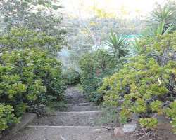 The park has a massive record of keeping various species in a zoo up to 250 divergent species and up to 800 various species of plants in gardens. This